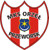 Orzel Przeworsk